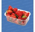 Прозрачный коррекс с перфорацией серии FP500/60 -75 для упаковки ягод , фрутов и грибов 