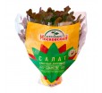 Прозрачный пакет рюмка с цветной печатью и перфорацией для упаковки свежих салатов в горшочках