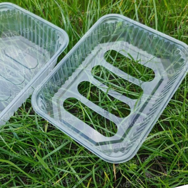 Двойной пластиковый лоток для микрозелени