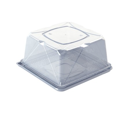 Квадратная тортница из пластика с геометрией на крышке для упаковки кондитерских изделий