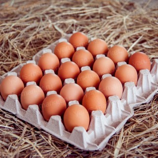 Упаковка для куриных яиц