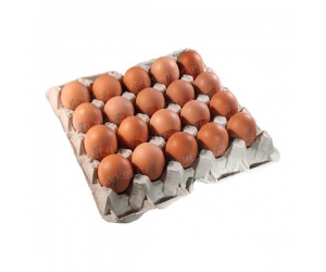 Картонная прокладка для 20 куриных яиц 