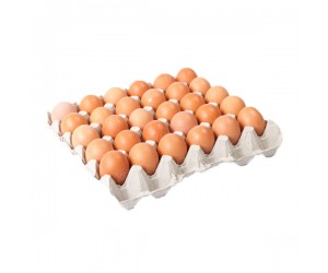 Картонная прокладка для 30 куриных яиц
