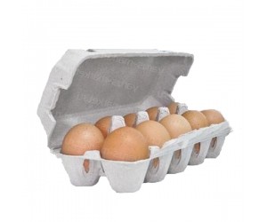 Производство упаковки для яиц: 51 предложение в России