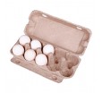 Картонная упаковка для яиц на 10 ячеек с крышкой и замком