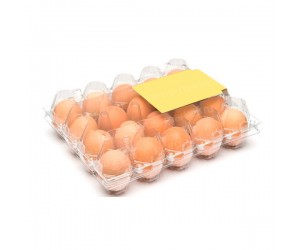 Упаковка для куриных яиц, 20 ячеек, пластиковая