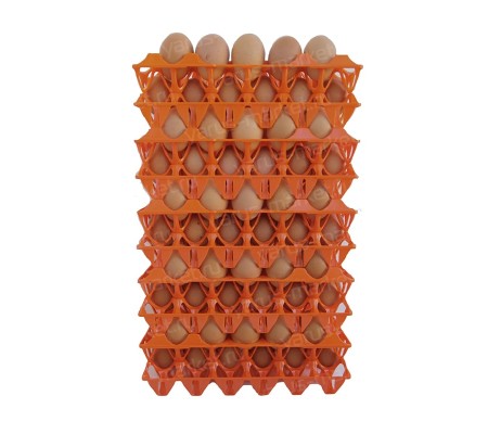Многоразовая пластиковая упаковка для 30 яиц