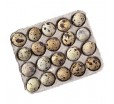 Закрытая картонная коробка для перепелиных яиц с отдельной прокладкой на 20 ячеек