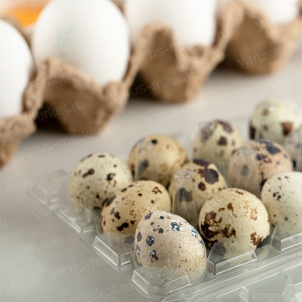 Упаковка для 10 перепелиных яиц