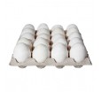 Бугорчатая прокладка для гусиных яиц на 20 штук высшей категории СВ 