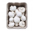 Лоток из пульпекартона для упаковки свежих грибов