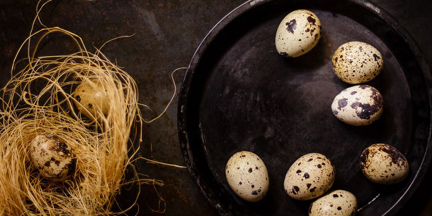 Упаковка для перепелиных яиц: виды, преимущества и недостатки