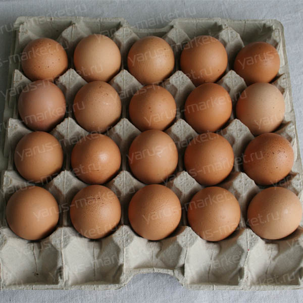 Бугорчатая прокладка для 20 куриных яиц. Купить бугорчатые прокладки для куриных яиц оптом в магазине "ЯрусМаркет" 